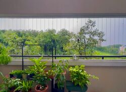 Blk 535 Bukit Batok Street 52 (Bukit Batok), HDB Executive #574070451